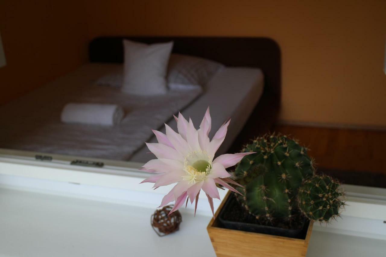 Bamboo Wellness Apartment Сиофок Екстериор снимка